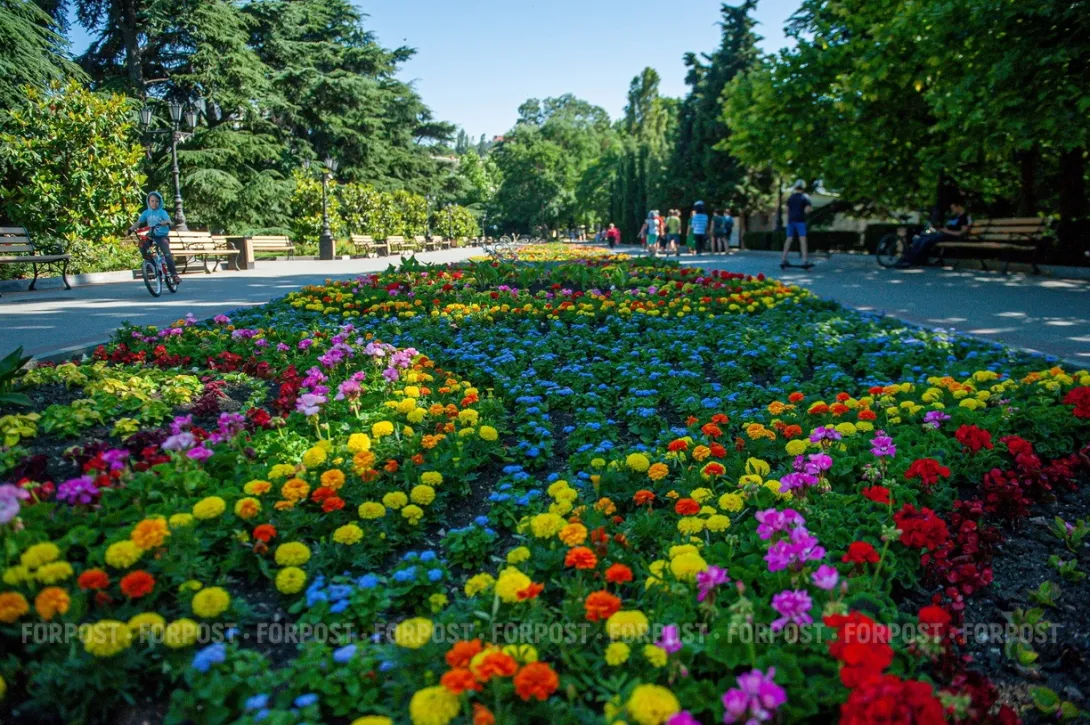 Севастополь украсят «засухоустойчивыми» цветами