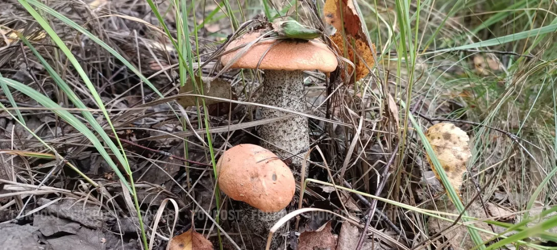 На Севастополь надвигается новая волна потепления 