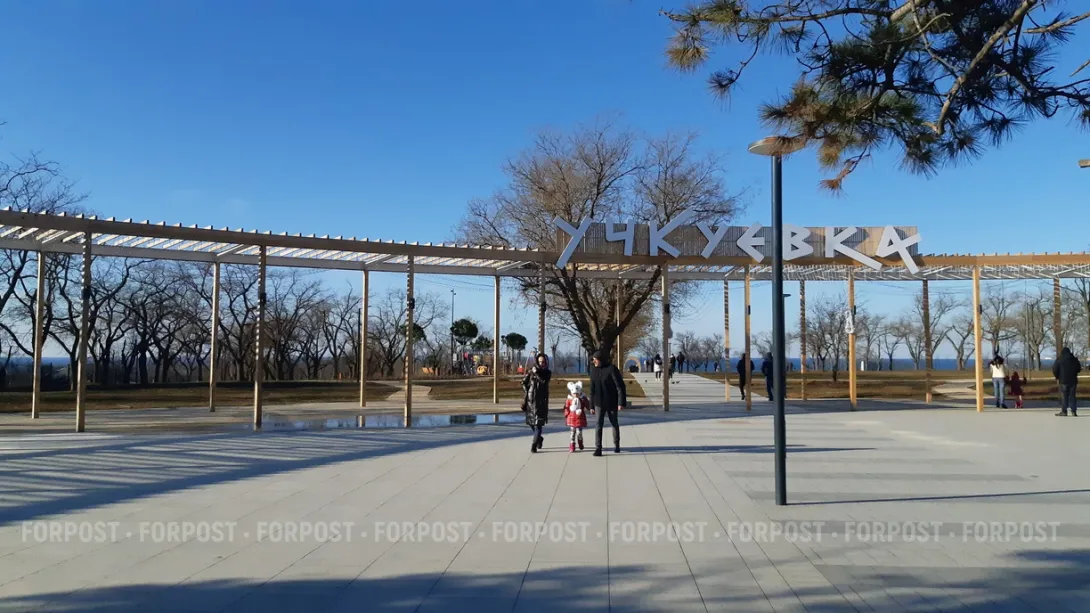 Севсети#874: Правильный политик, волшебное зрелище и бизнес по Бузовой 