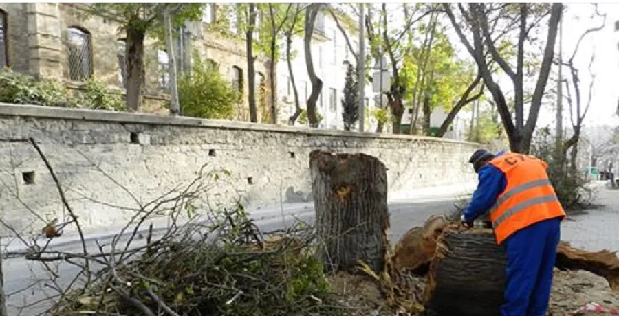 Севсети#875: Убийство на Советской, жизнь во тьме и польза пестицидов 