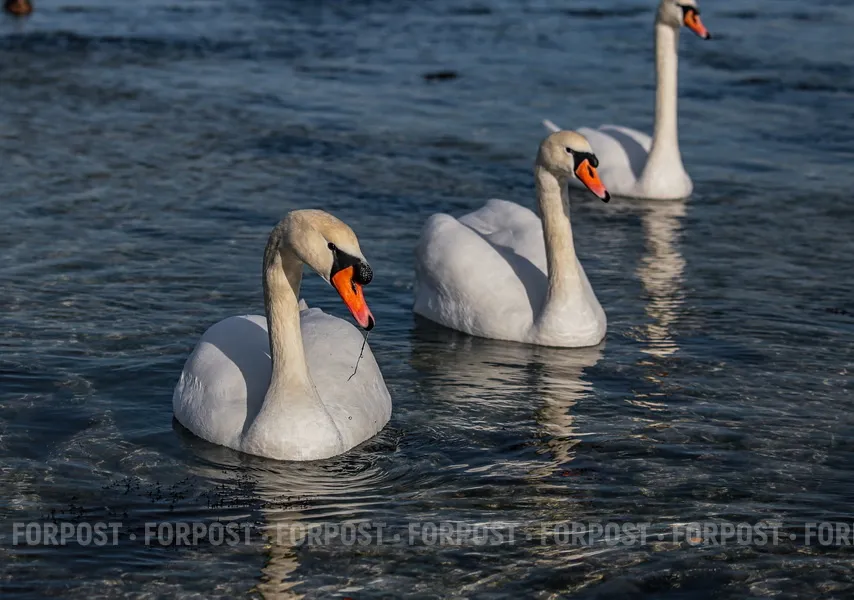 На выходных Севастополь ждёт потепление