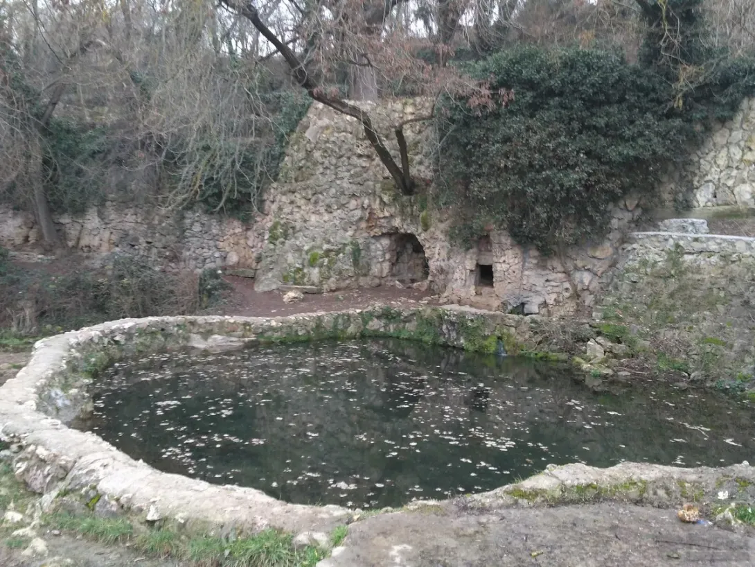На Максимовой даче в Севастополе неспокойно 