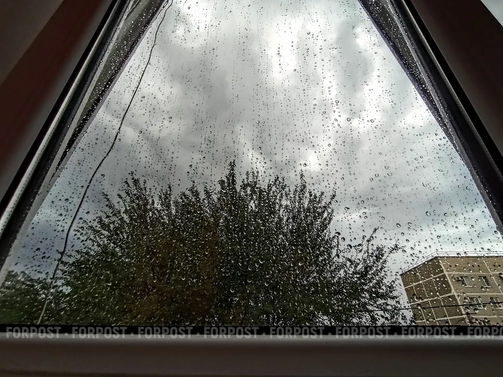 На выходные в Севастополе ожидается сильный ветер и дождь