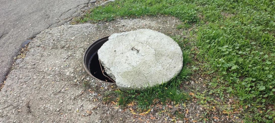 В Севастополе в открытый люк провалилась собака