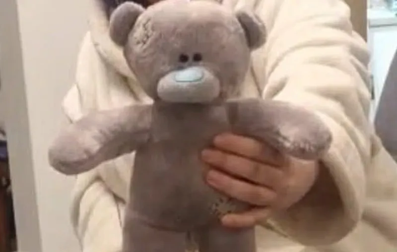 Девушка нашла прах человека в игрушке из благотворительного магазина