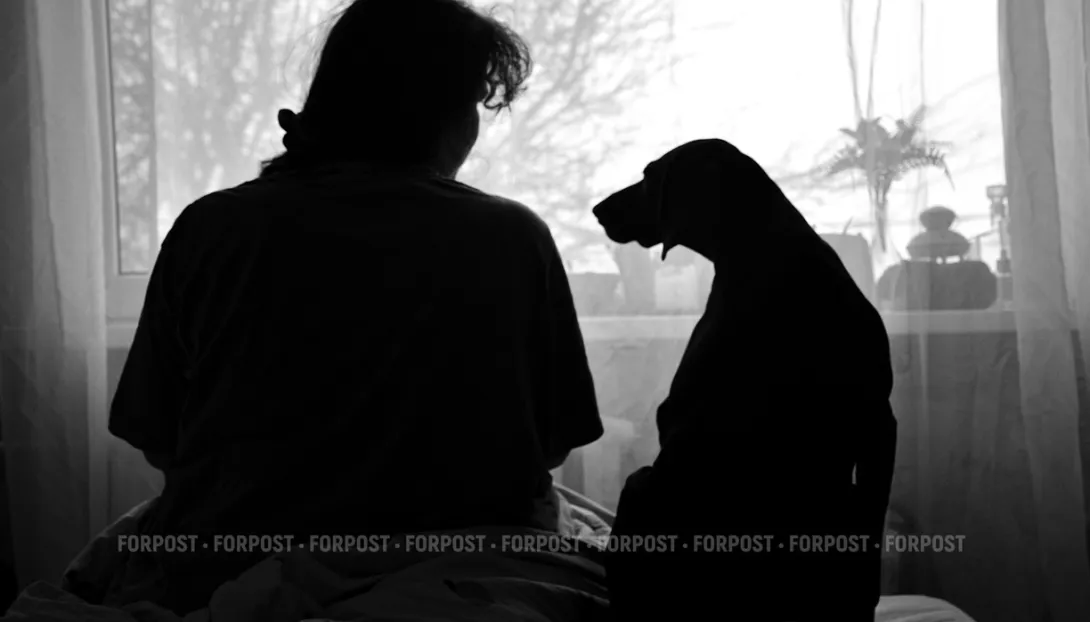 Налог на животных в Крыму: платить или выкинуть питомца?