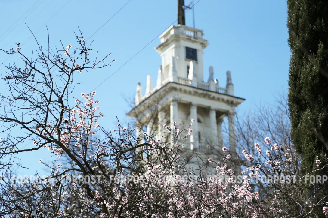 Где сейчас можно увидеть самый красивый март