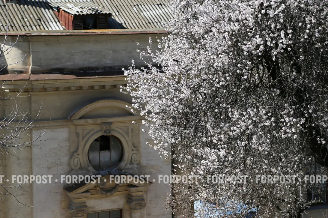 Севастополь входит в устойчивую весну