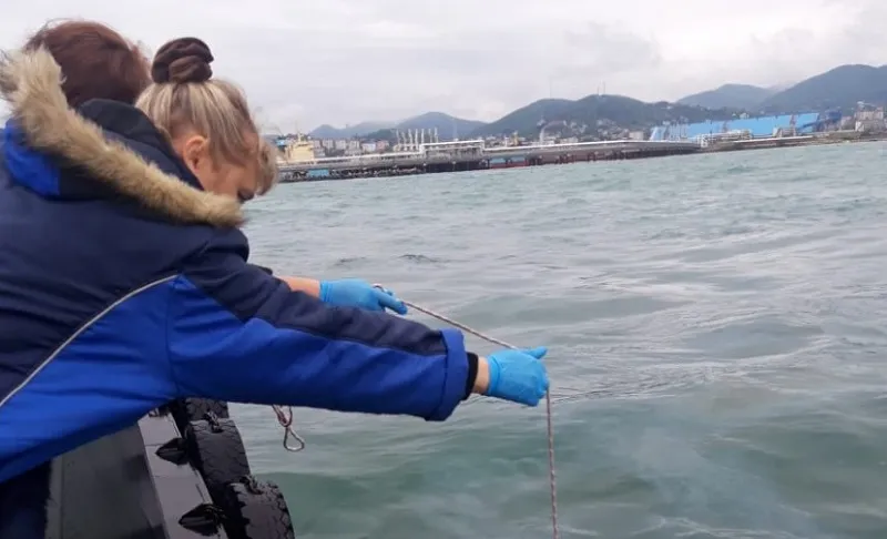 Затонувший у берегов Крыма плавкран причинил многомиллионный ущерб Чёрному морю