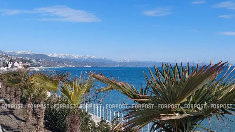 Весна в Крыму несмело вступает в права