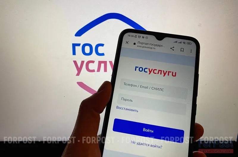 Решение о сборе подписей на выборы через «Госуслуги» будет принято, — эксперт