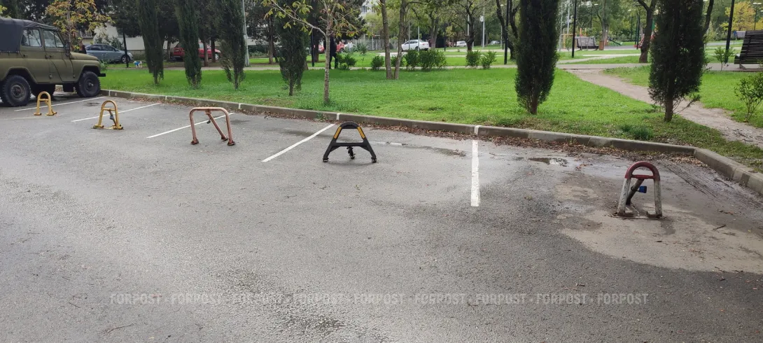 Парковка на траве: в Севастополе разбираются с понятием «газон»