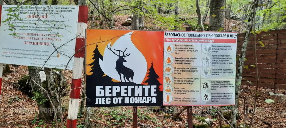 43 территории риска: в Севастополе начинается пожароопасный сезон