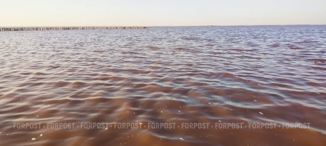 Водная блокада Крыма оборачивается катастрофой на Украине