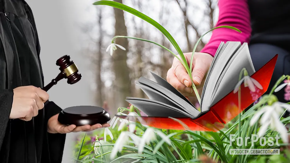 В Крыму устроили облаву на цветочных браконьеров