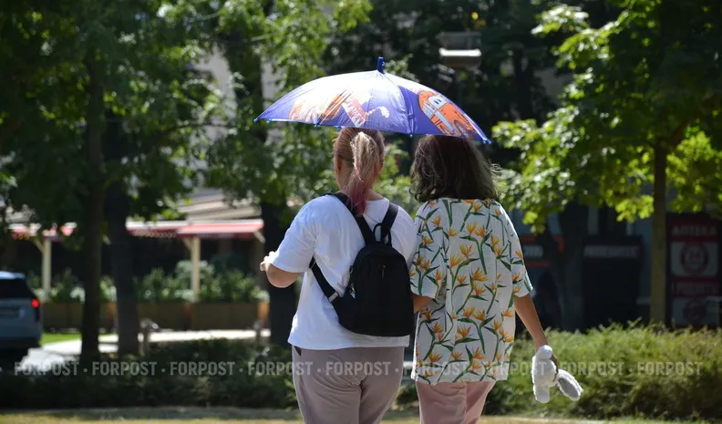 Женщин, не планирующих рожать, будут направлять к психологу