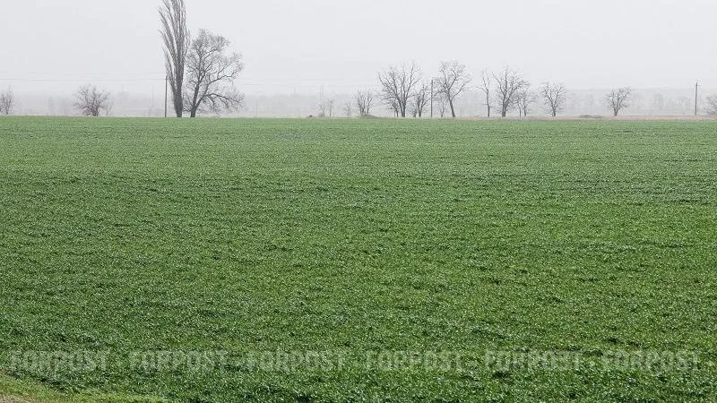 Как крымским аграриям предлагают повышать урожай с помощью микробов