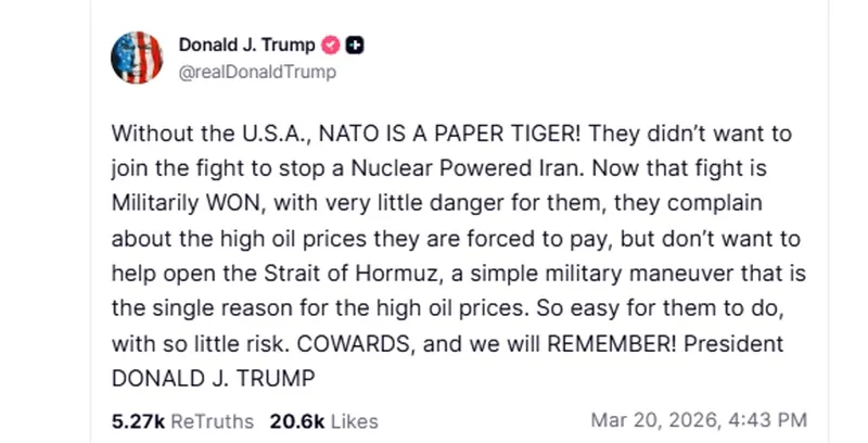 Не так страшно НАТО, как его малюют: в чём поменялась глобальная геополитика