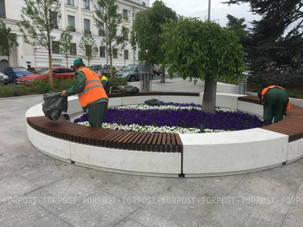 Сколько потратят денег на уход за зеленью Керчи