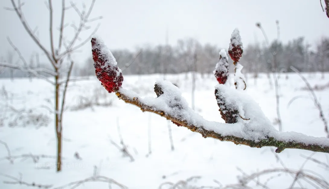 Крымчанам нужно утеплиться — погода резко изменится