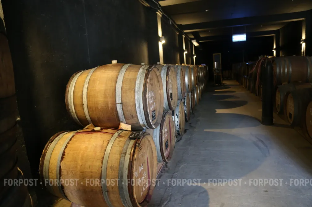 Экономику Крыма укрепляют винзаводом Массандра