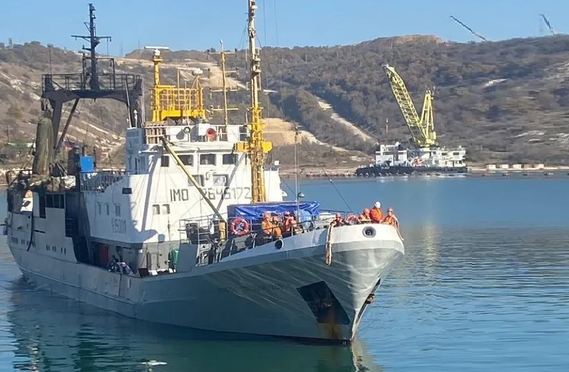 Чтобы хамса не стала импортной: севастопольским рыбакам помогут деньгами