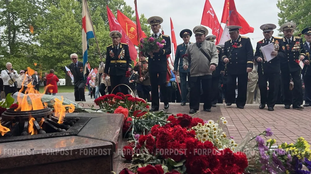 Статус ветерана Великой Отечественной установит суд Севастополя