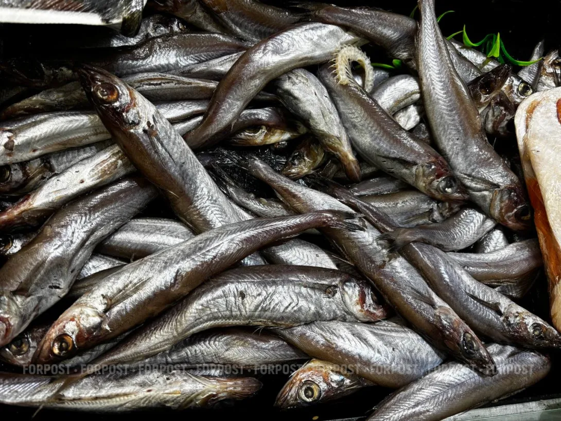 В Севастополе завели уголовное дело на «Аквамарин» 