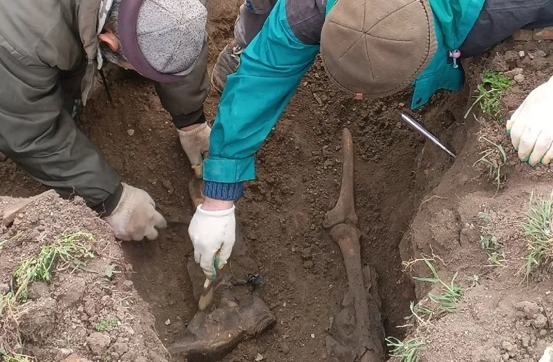 В Крыму останки советского солдата пытаются опознать по почтовому конверту 