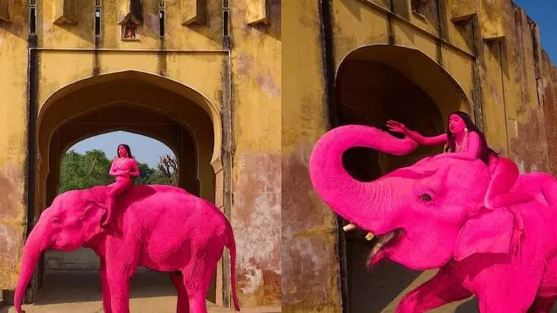 Российская фотограф разозлила Индию фотосессией с розовым слоном