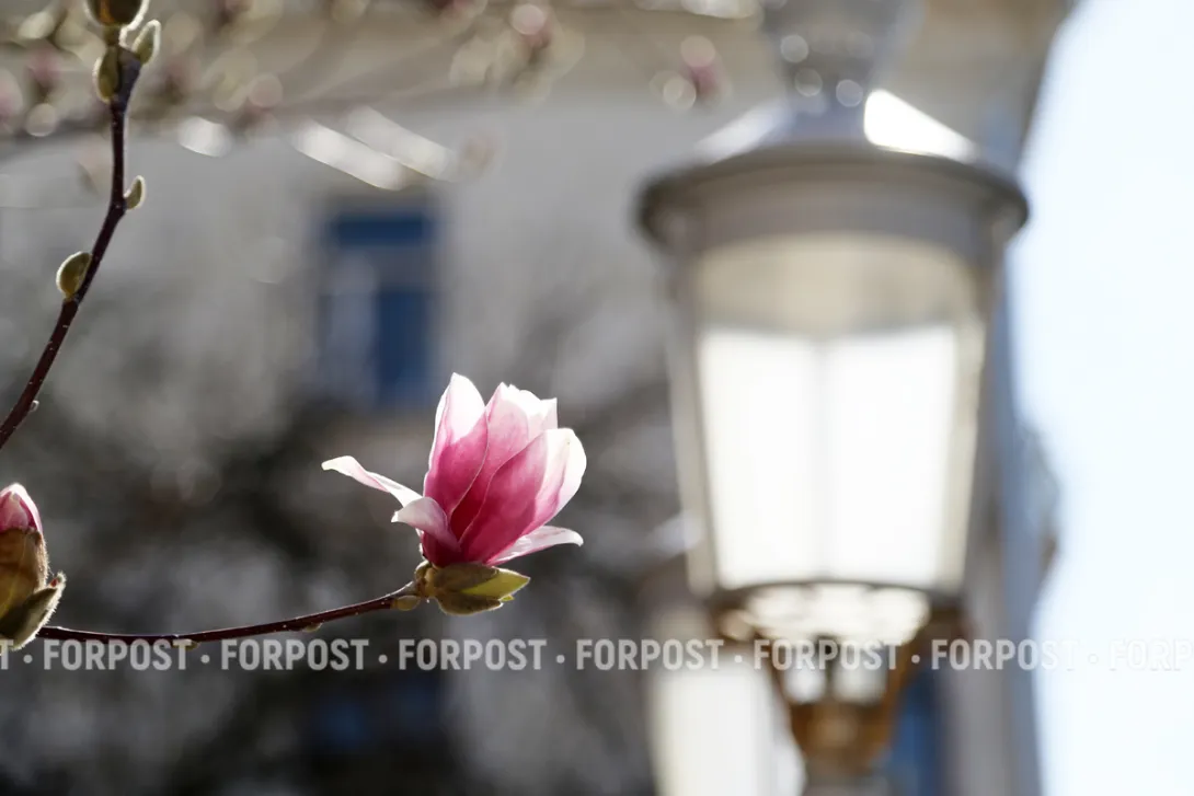 Погода в Севастополе на неделю: дожди, похолодание и пасмурные дни