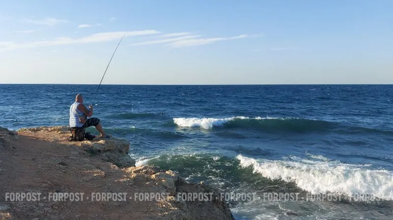 Учёные обнаружили в Азовском море скопления пиленгаса и метровых осетров