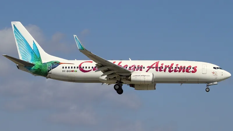 США и Ямайка решают, кто из них родина родившегося в воздухе пассажира