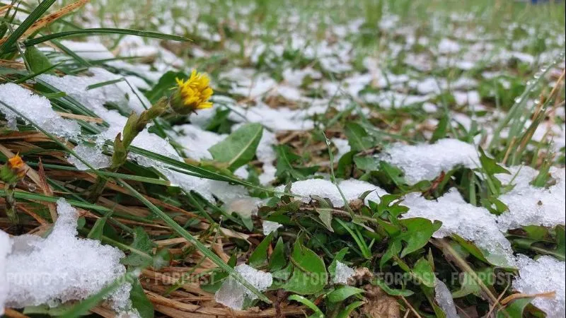 Заморозки и снег в апреле для Крыма не аномалия, а норма