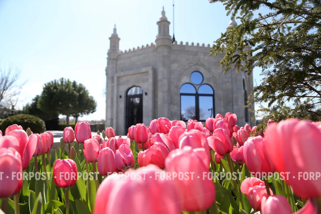 Севастополь накроют дожди и холодный ветер