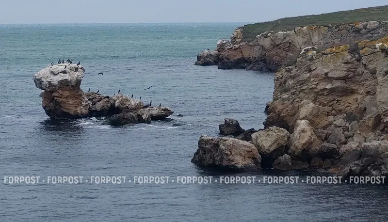 Ещё один заповедник Крыма закрыли для посетителей в 2026 году