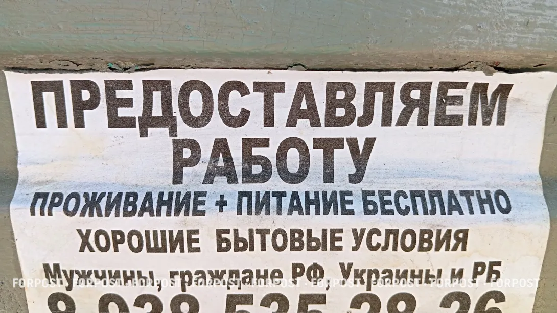 Работодатели меняют корпоративы на обучение и фитнес для сотрудников