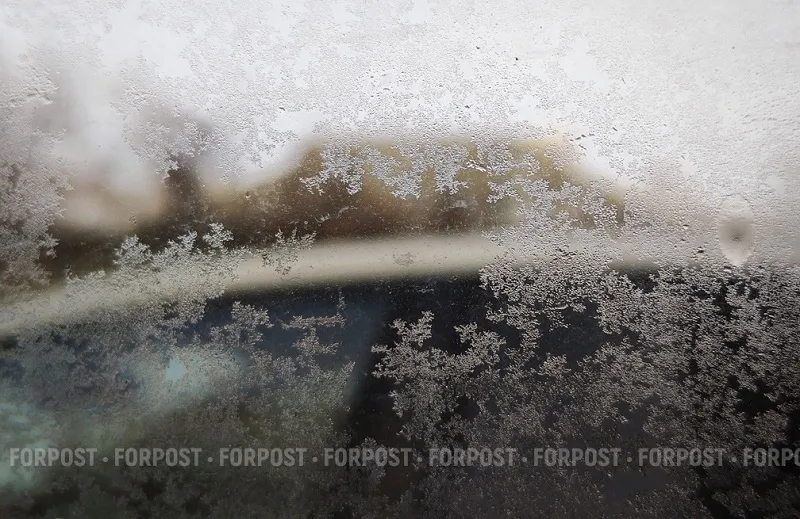 Крым переживёт ещё две ночи заморозков