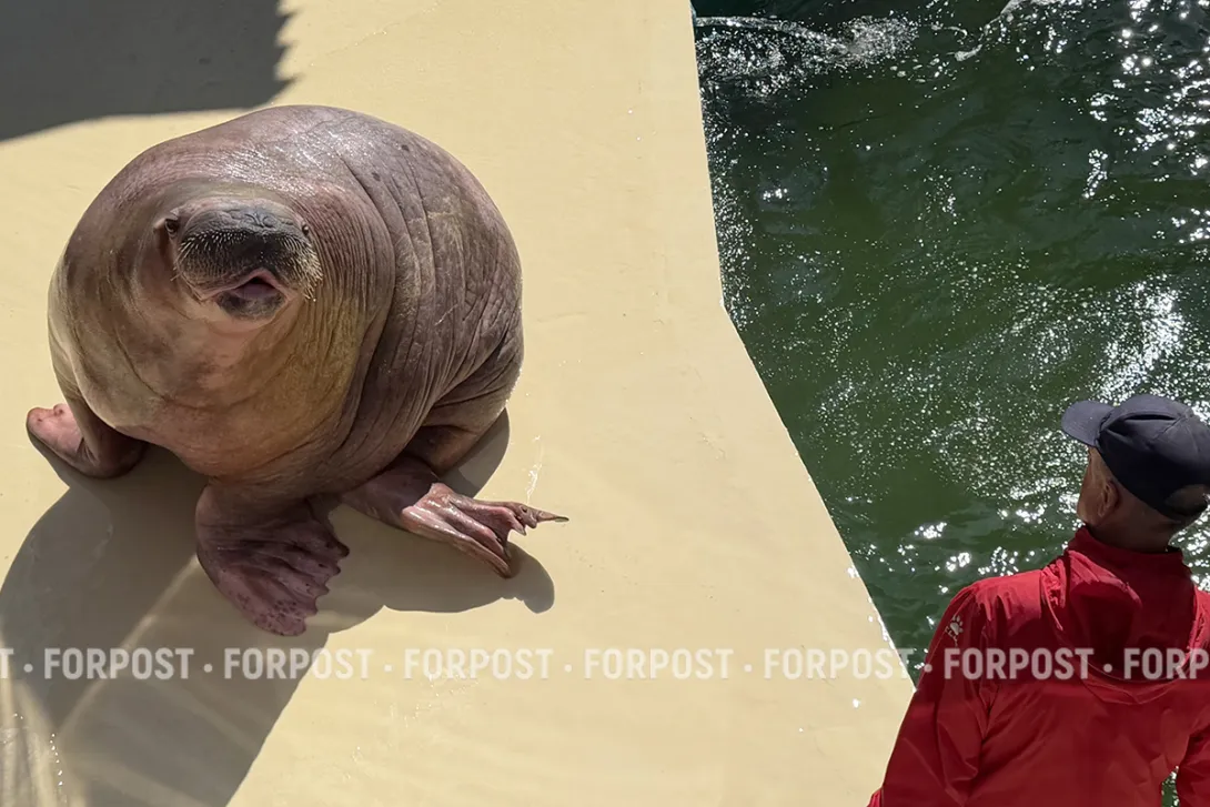 Неожиданный зверинец в столице крымских ханов: почему стоит заглянуть в Бахчисарайский зоопарк