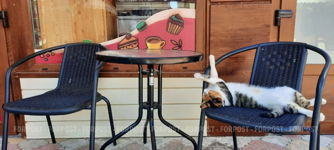 В России набирает обороты «сонный туризм»