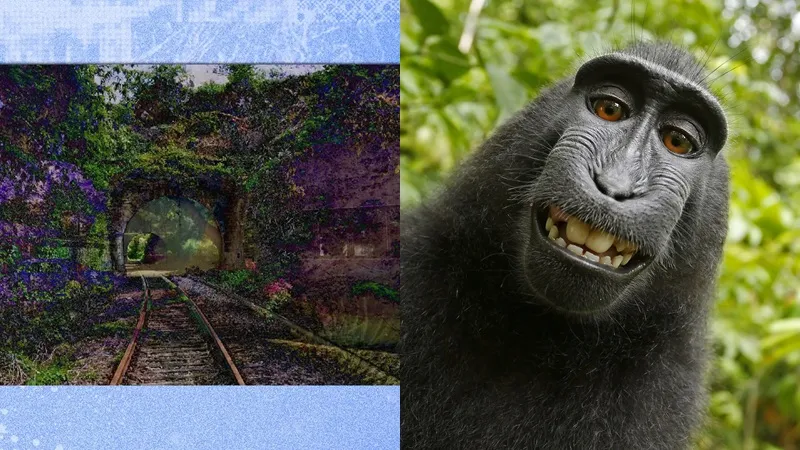 Одна обезьяна может запретить искусственному интеллекту создавать фильмы