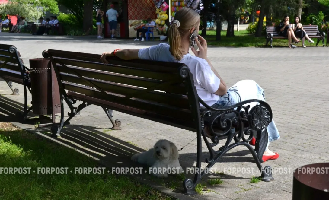 Как заводчики наживаются на больных животных и что делать хозяевам