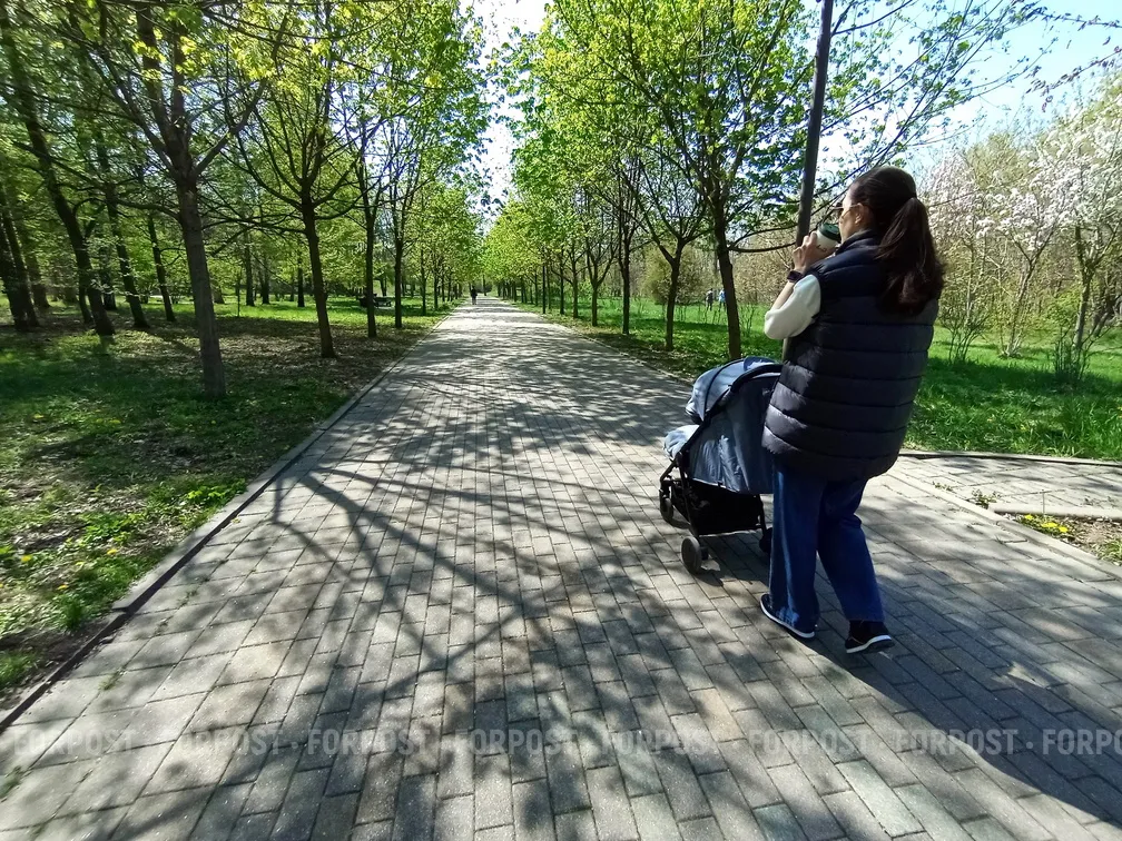 Почему россиянки уходят в соло-материнство