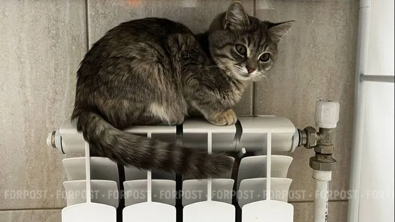 Из-за резкого похолодания в Крыму продлили отопительный сезон