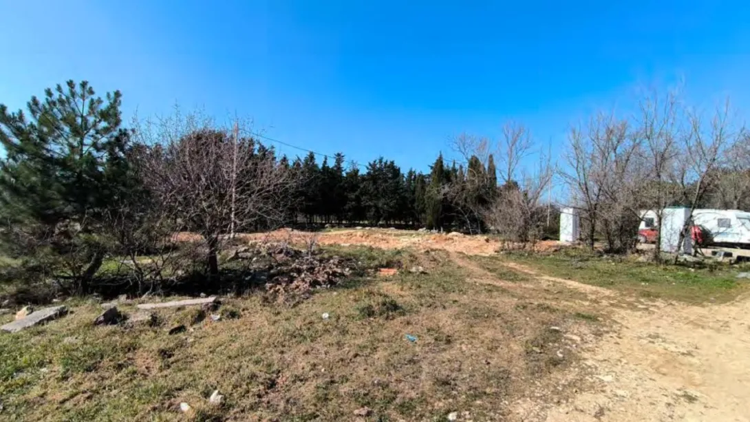 У парка Победы в Севастополе нашли краснокнижные растения на участке под нужды долгостроя