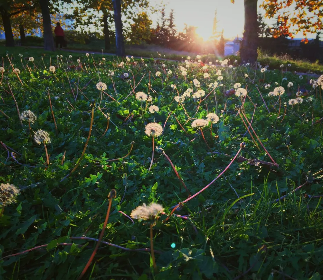 В Севастополь наконец возвращается весеннее тепло