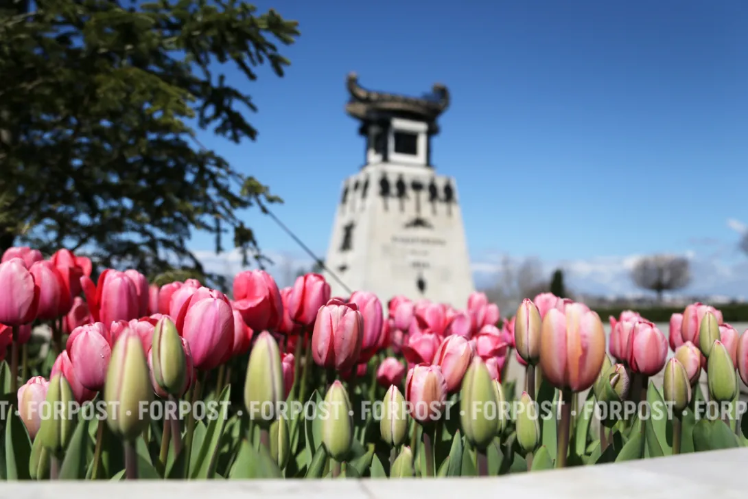 Севастополь ждут погодные качели перед майскими праздниками