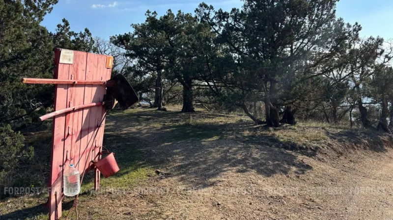 Неаккуратный костёр в лесу открыл в Крыму сезон природных пожаров 