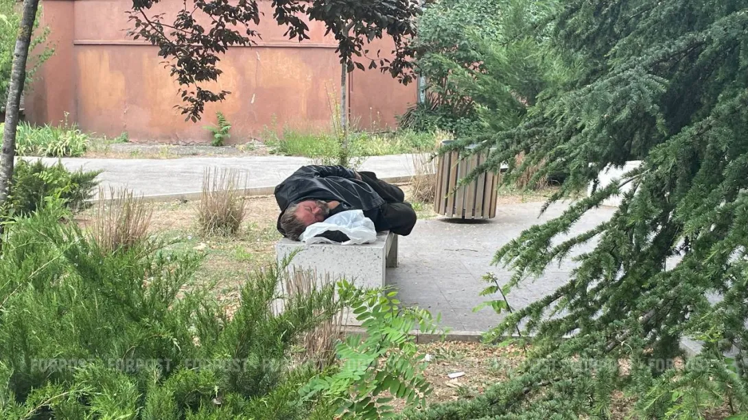 В Севастополе наконец построят приют для бездомных