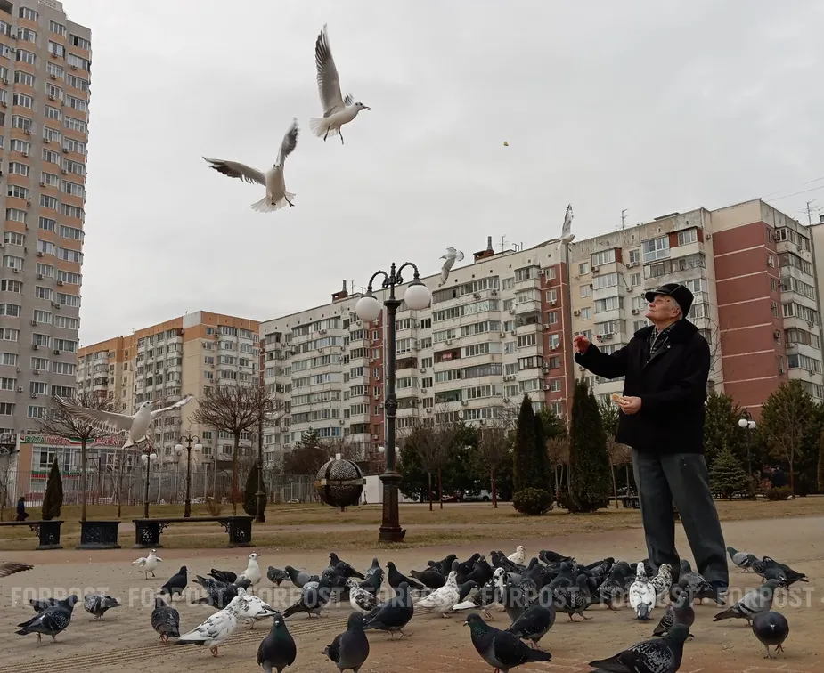Городские птицы боятся женщин: чем озадачились орнитологи